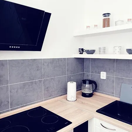 Klidny Rodinny Apartman Lokinek, Kousek Od Centra Ostravy Apartmán Ostrava