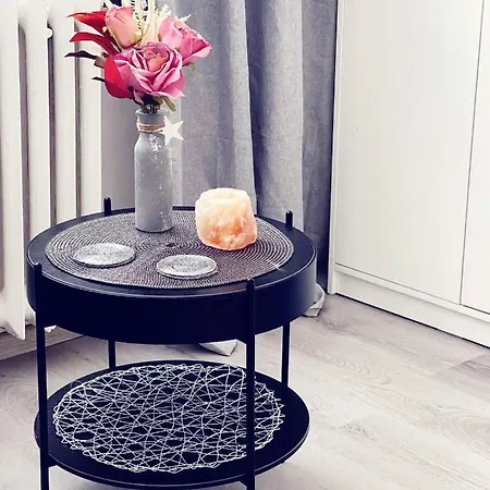 Klidny Rodinny Apartman Lokinek, Kousek Od Centra Ostravy Apartmán Ostrava